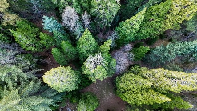 246 Cedar Ridge, Lake Arrowhead, CA 92352