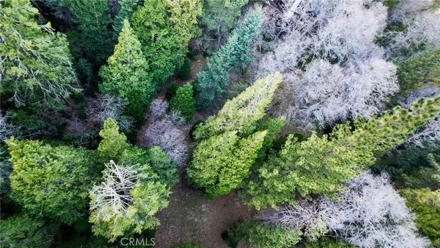 246 Cedar Ridge, Lake Arrowhead, CA 92352