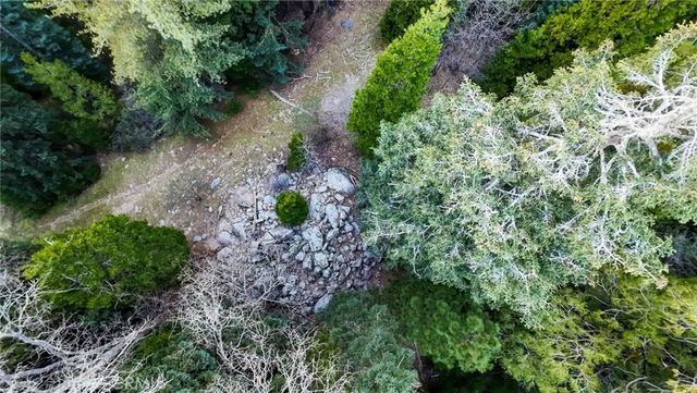 246 Cedar Ridge, Lake Arrowhead, CA 92352