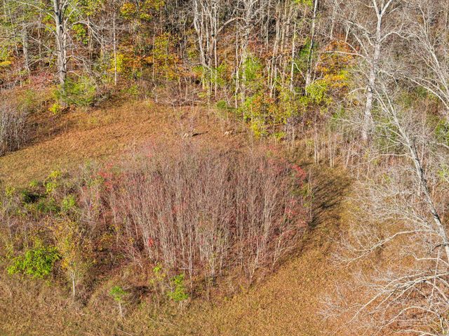 1277 Campbellsville Pike, Lynnville, TN 38472