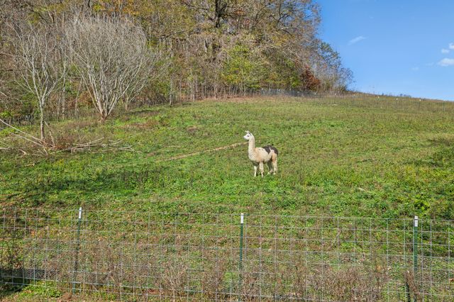 1277 Campbellsville Pike, Lynnville, TN 38472