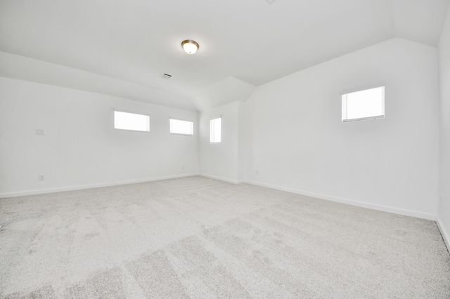 11007 Gardenia Creek Drive, Houston, TX 77044