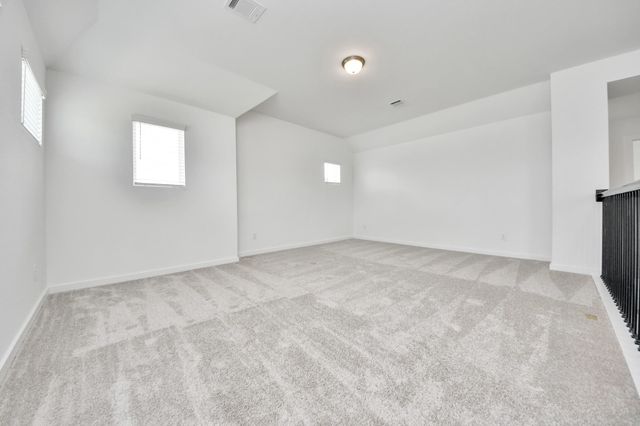 11007 Gardenia Creek Drive, Houston, TX 77044