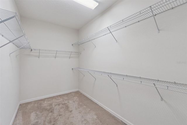 310 BRUNSWICK DRIVE, Davenport, FL 33837