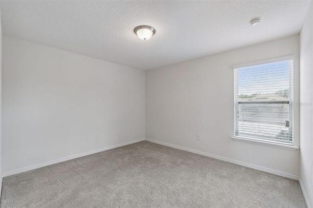 310 BRUNSWICK DRIVE, Davenport, FL 33837