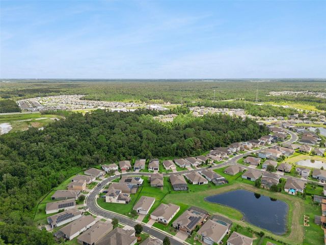 310 BRUNSWICK DRIVE, Davenport, FL 33837