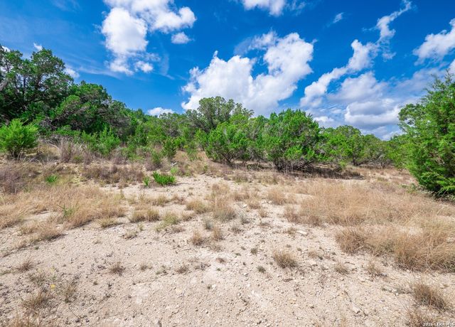 646 Appaloosa Dr, Fischer, TX 78623