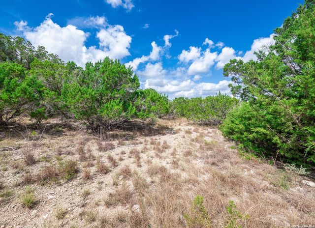 646 Appaloosa Dr, Fischer, TX 78623