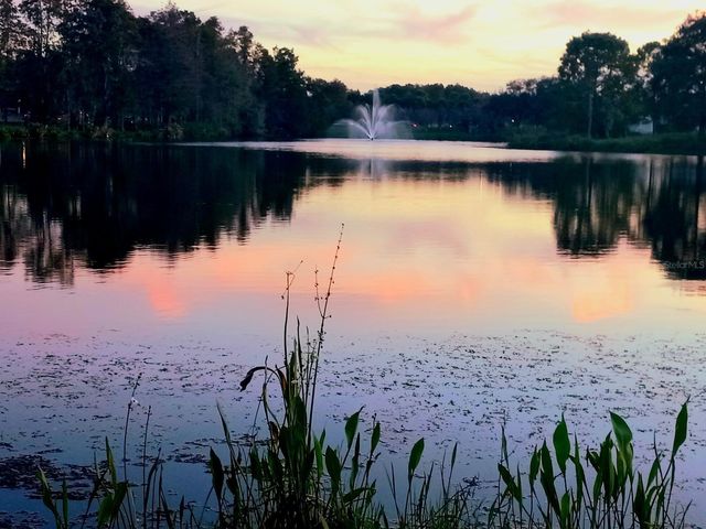 13560 TURTLE MARSH LOOP 338, Orlando, FL 32837