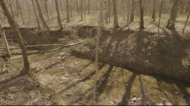 4 Reece Church Rd, Columbia, TN 38401