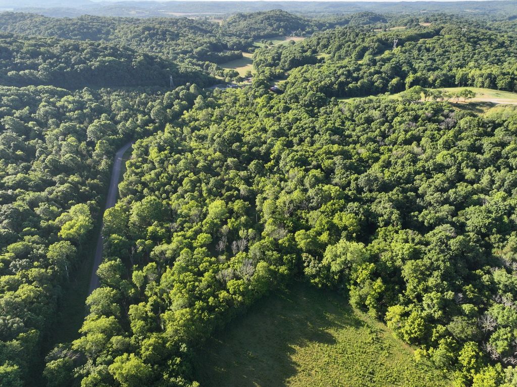 4 Reece Church Rd, Columbia, TN 38401