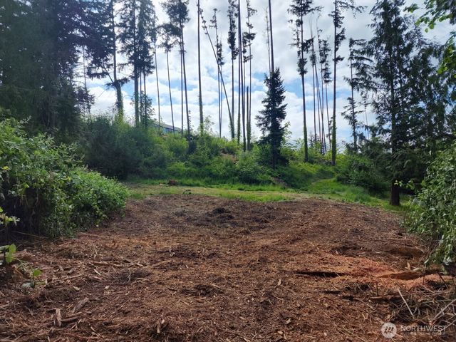 118 Tillicum Drive, Chehalis, WA 98532