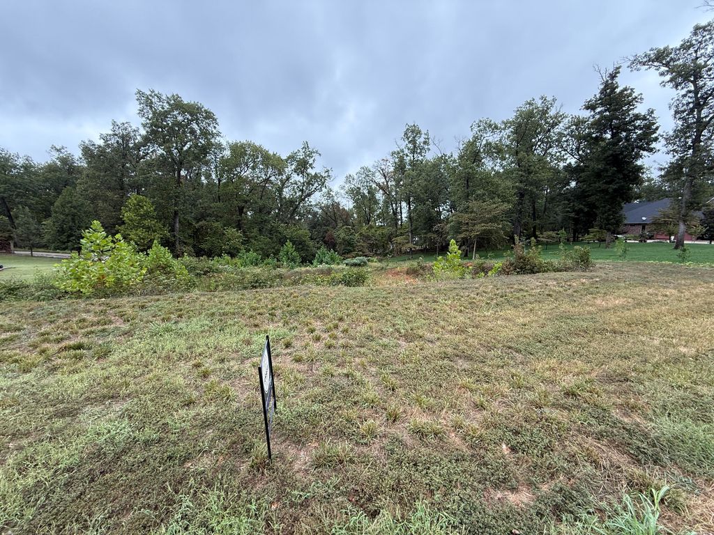 Lot 14 Brenden Lane, Webb City, MO 64870