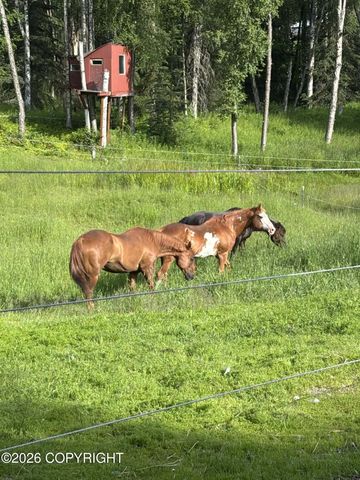 41550 Tischer Avenue, Soldotna, AK 99669