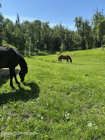 41550 Tischer Avenue, Soldotna, AK 99669