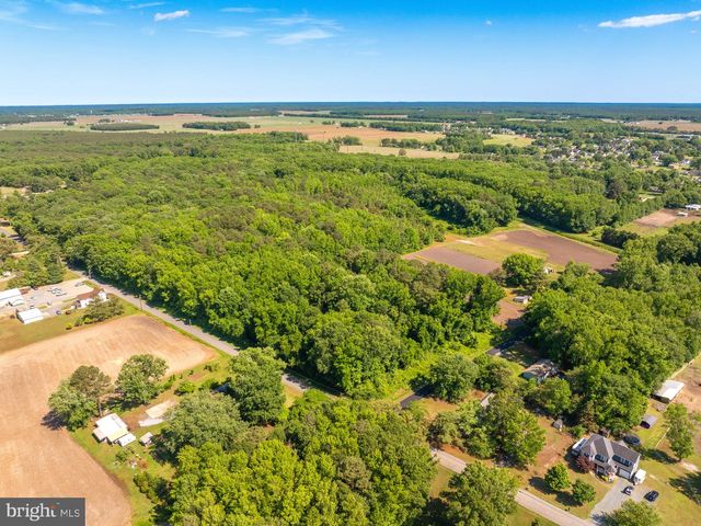 CASHER WELLS RD, Pittsville, MD 21850
