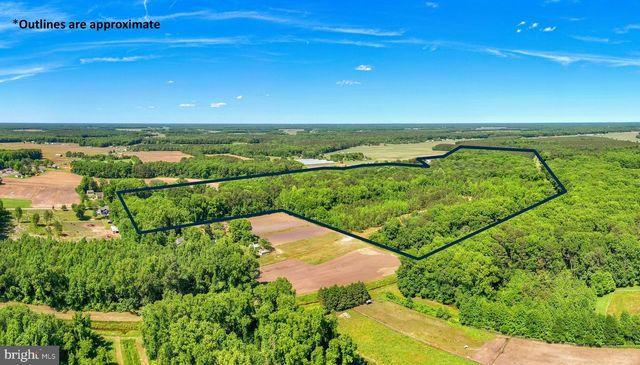 CASHER WELLS RD, Pittsville, MD 21850