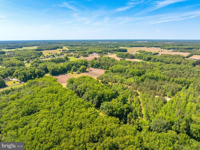 CASHER WELLS RD, Pittsville, MD 21850