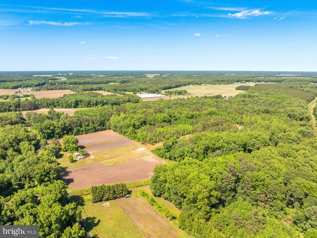 CASHER WELLS RD, Pittsville, MD 21850