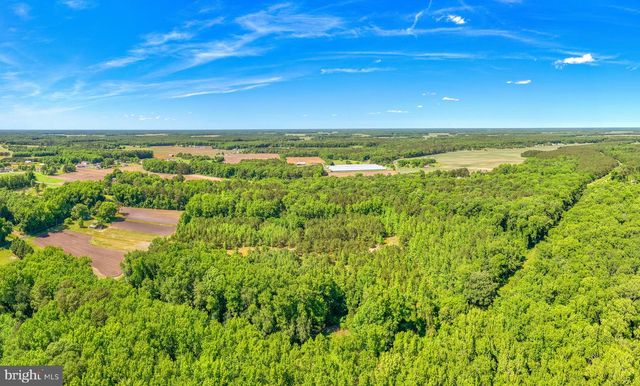 CASHER WELLS RD, Pittsville, MD 21850