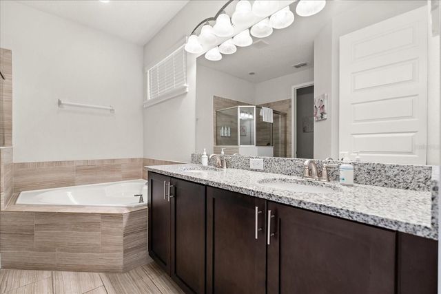 1113 CASTLE PINES COURT, Reunion, FL 34747