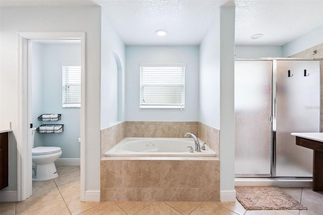 30148 JUTLAND COURT, Mount Dora, FL 32757