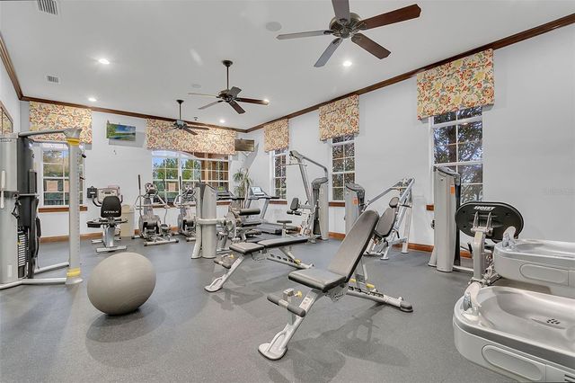 30148 JUTLAND COURT, Mount Dora, FL 32757