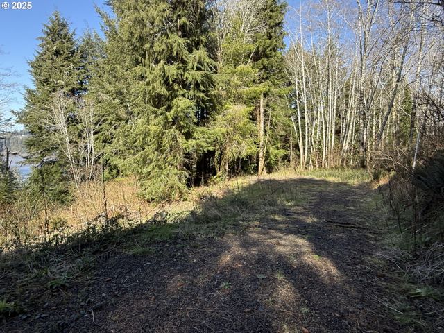 Cinnabar Lot 1, North Bend, OR 97459