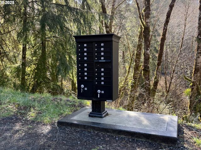 Cinnabar Lot 1, North Bend, OR 97459