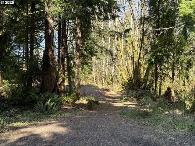 Cinnabar Lot 1, North Bend, OR 97459