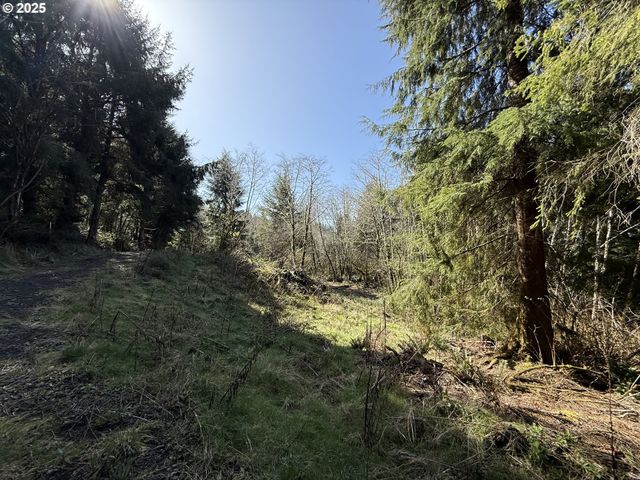 Cinnabar Lot 1, North Bend, OR 97459