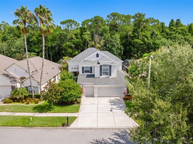 9706 GRETNA GREEN DRIVE, Tampa, FL 33626