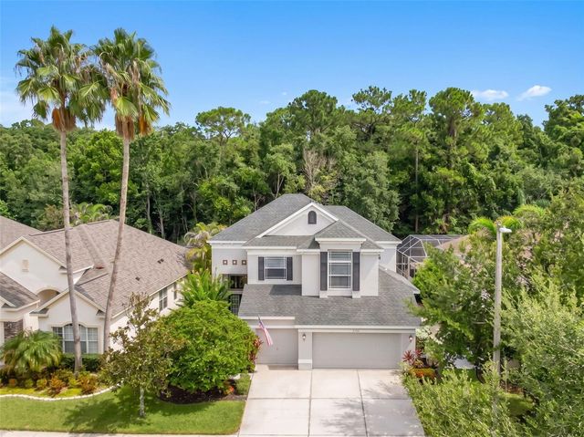 9706 GRETNA GREEN DRIVE, Tampa, FL 33626