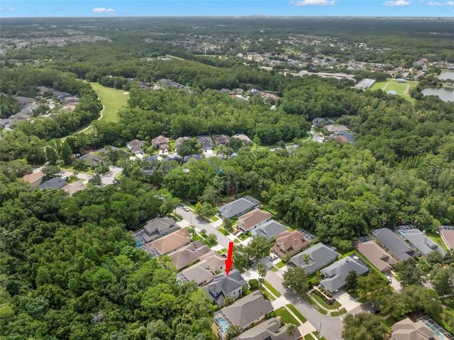 9706 GRETNA GREEN DRIVE, Tampa, FL 33626