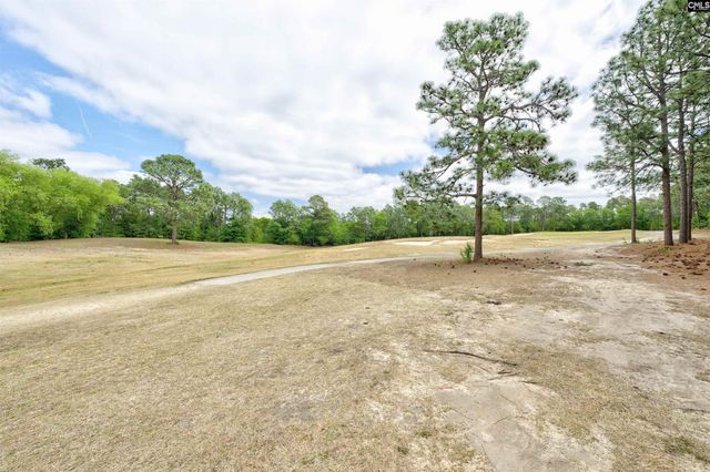 25 Baldur Court, Columbia, SC 29223