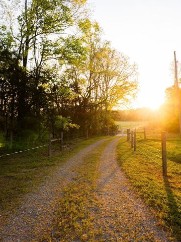 314 Bethlehem Church Rd, Shelbyville, TN 37160