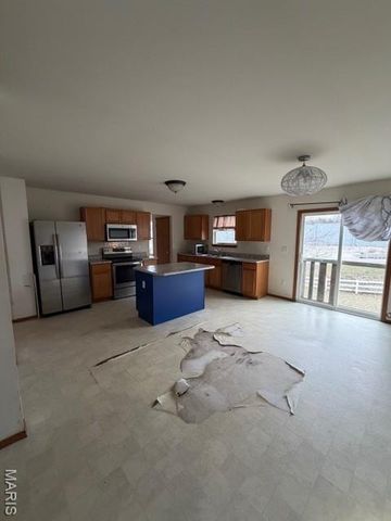 2421 Harbor Landings Circle, Unincorporated, MO 63136