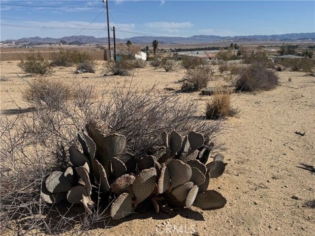 73735 Manana Drive, Twentynine Palms, CA 92277