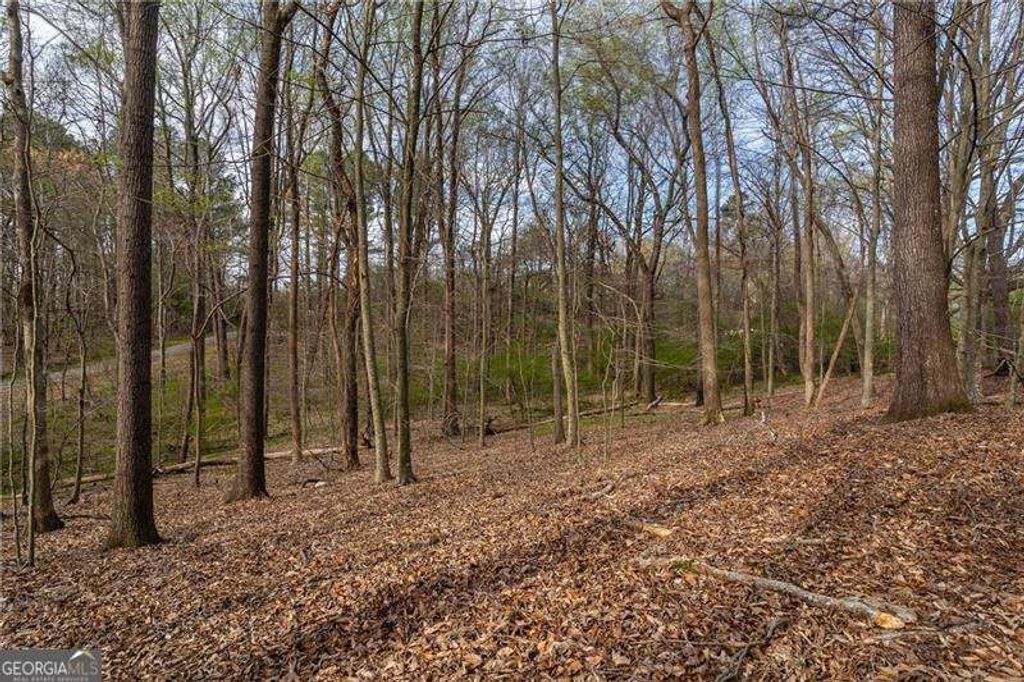 342 Jesse Martin Trail, Canton, GA 30115