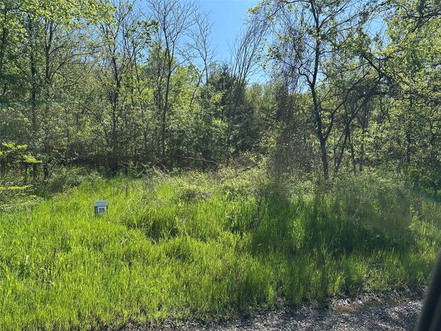 Tract 20 County Road 2960, Honey Grove, TX 75446