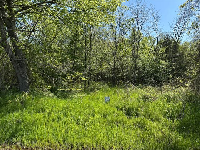 Tract 20 County Road 2960, Honey Grove, TX 75446