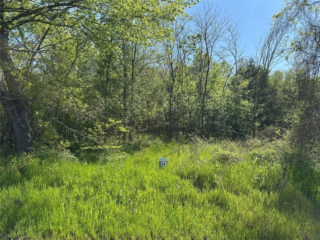 Tract 20 County Road 2960, Honey Grove, TX 75446