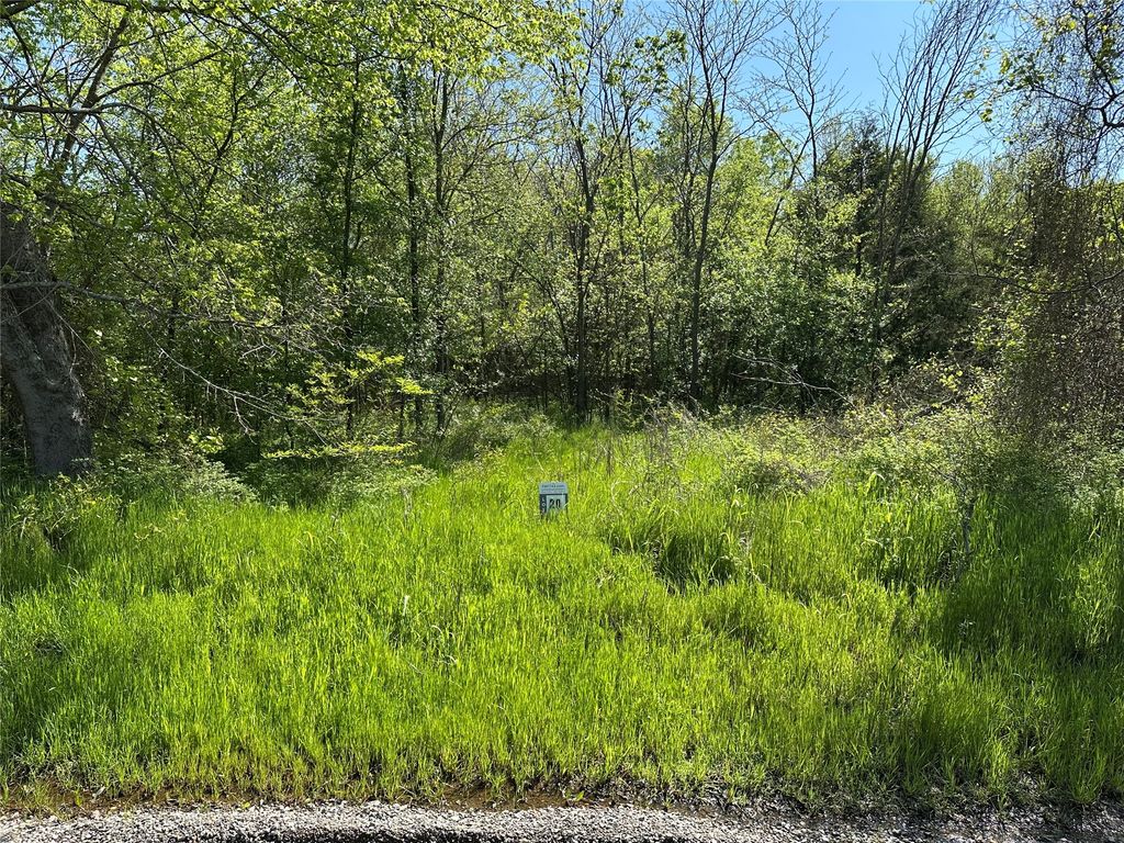 Tract 20 County Road 2960, Honey Grove, TX 75446