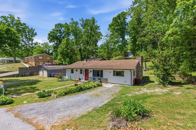 433 Mimosa Street, Mount Carmel, TN 37645