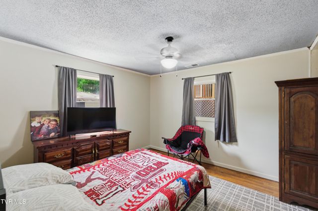 433 Mimosa Street, Mount Carmel, TN 37645