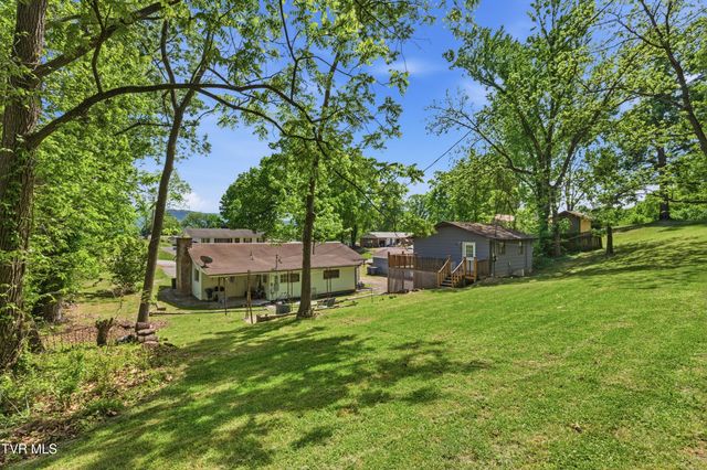 433 Mimosa Street, Mount Carmel, TN 37645