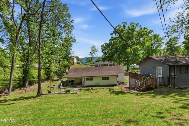 433 Mimosa Street, Mount Carmel, TN 37645