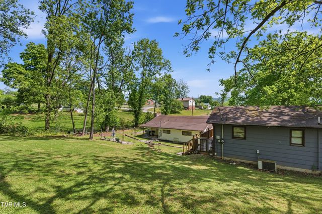 433 Mimosa Street, Mount Carmel, TN 37645