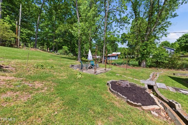 433 Mimosa Street, Mount Carmel, TN 37645