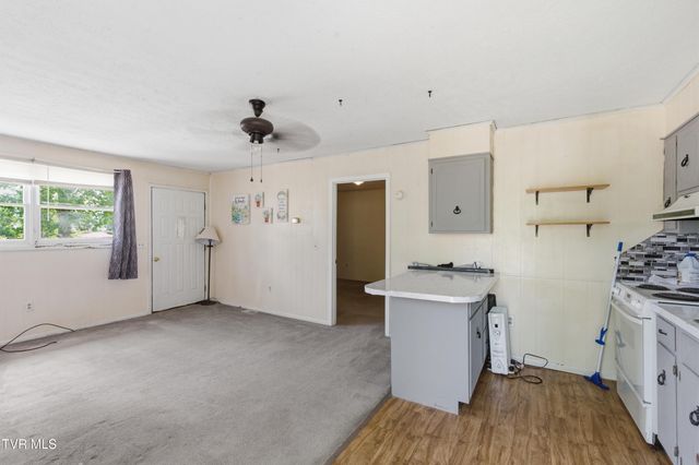433 Mimosa Street, Mount Carmel, TN 37645